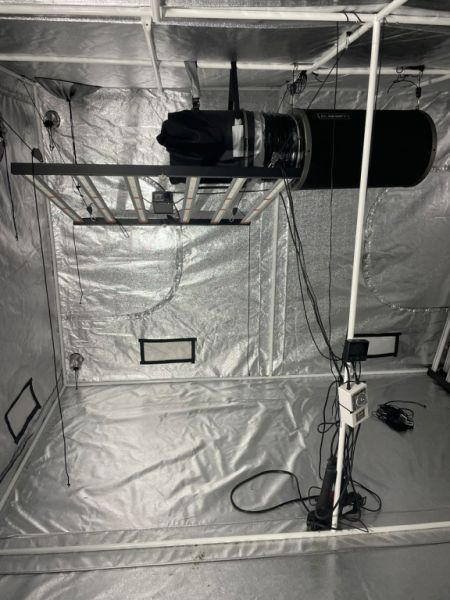 Komplette Grow-Anlage zu verkaufen (ohne Zelt)