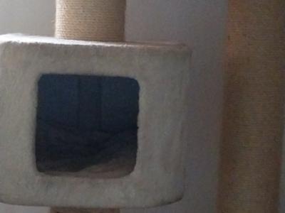 Postes rascadores de RHR