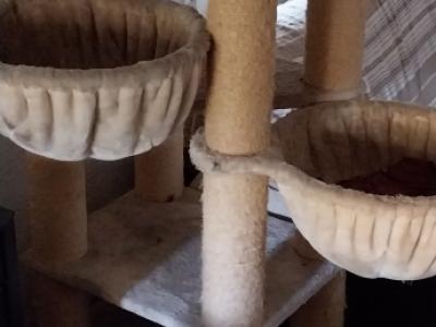 Postes rascadores de RHR