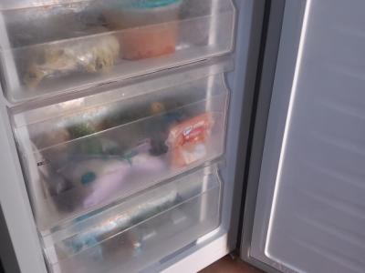 Kühl- Gefrierkombination "No Frost" der Marke Brandt