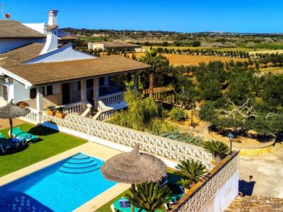 Rural apartment with communal pool and many terraces near Petra --- AP 48