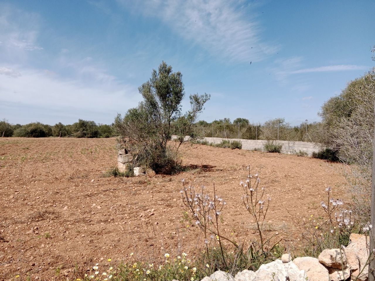 Terreno rural cerca de Campos
