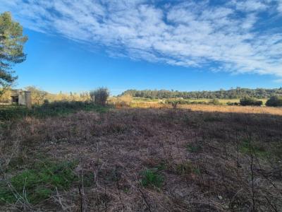 Ländliches Grundstück zu verkaufen – Gemeinde Petra