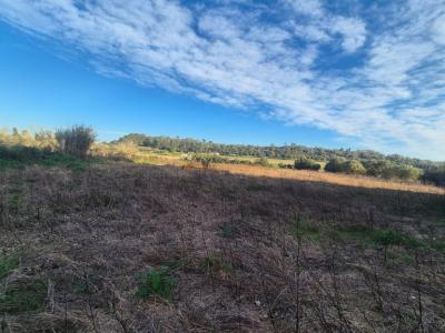 Rural land for sale – Municipality of Petra