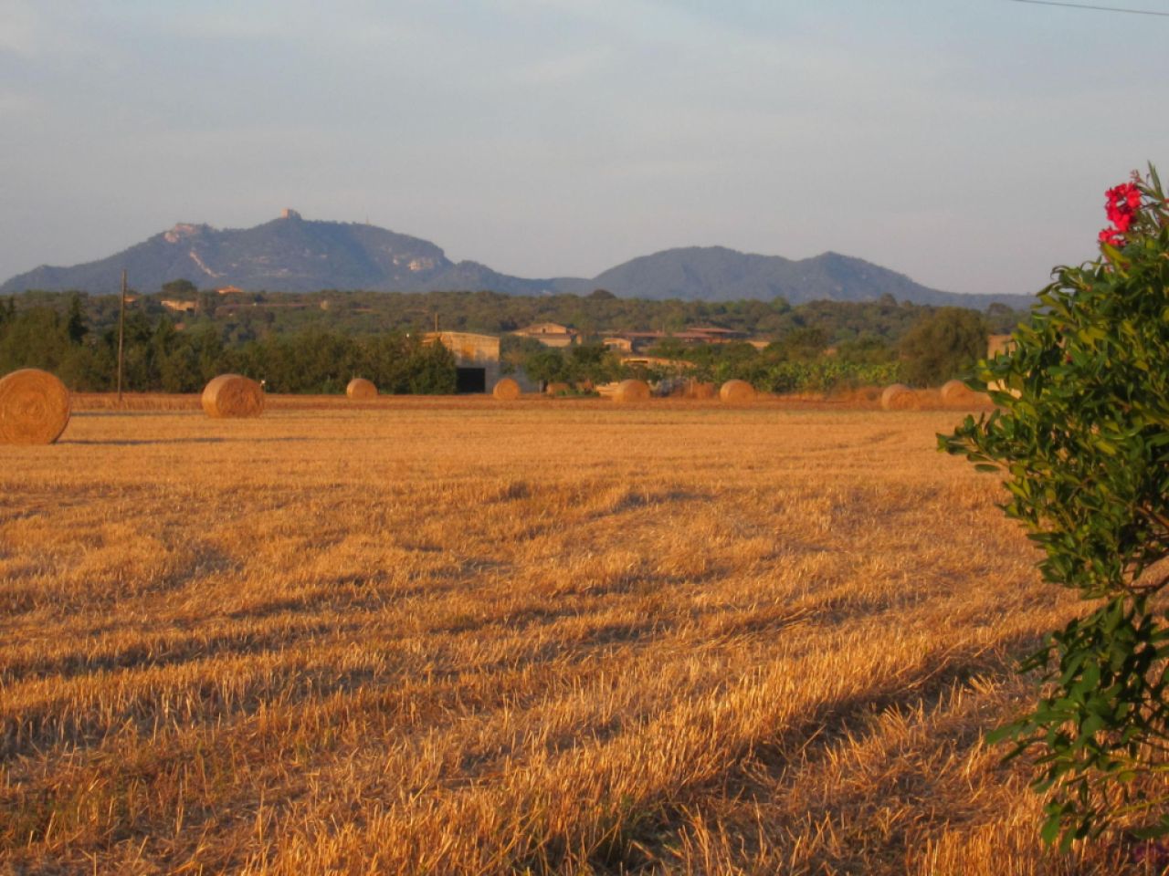 Langzeit/Überwintern Mallorca Pool Finca 2 Pers Ferienhaus Campos