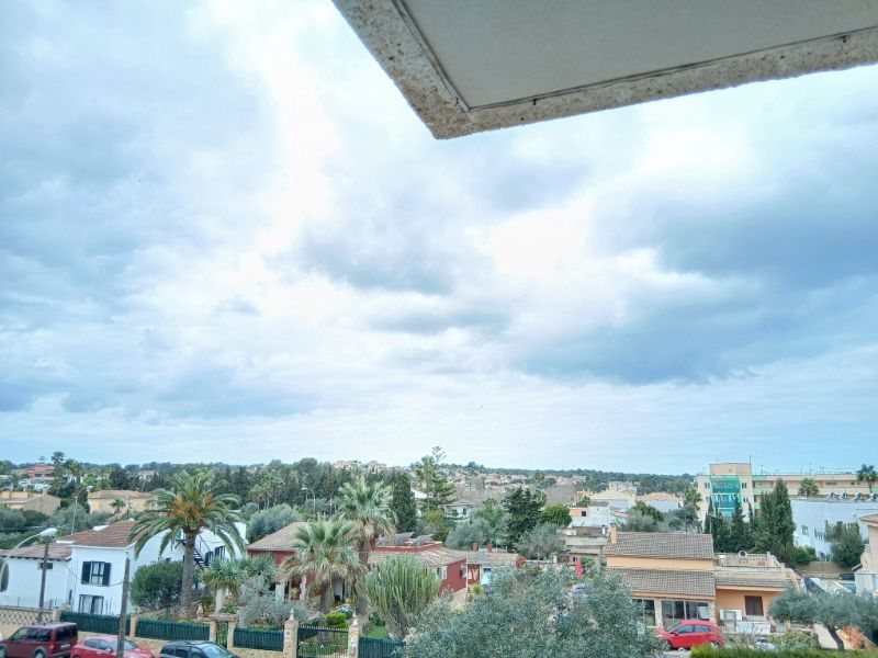 Las Palmeras / LLucmajor