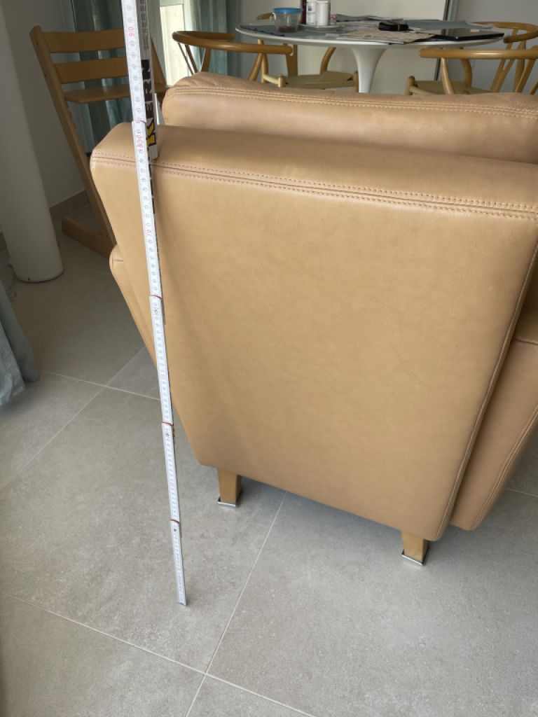 Leather Armchair W. Schillig