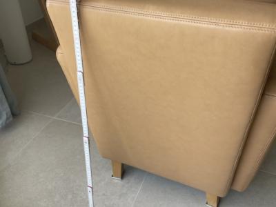 Leather Armchair W. Schillig