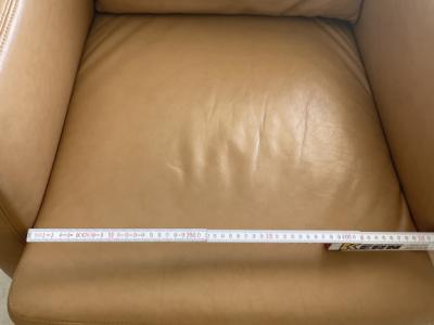 Leather Armchair W. Schillig