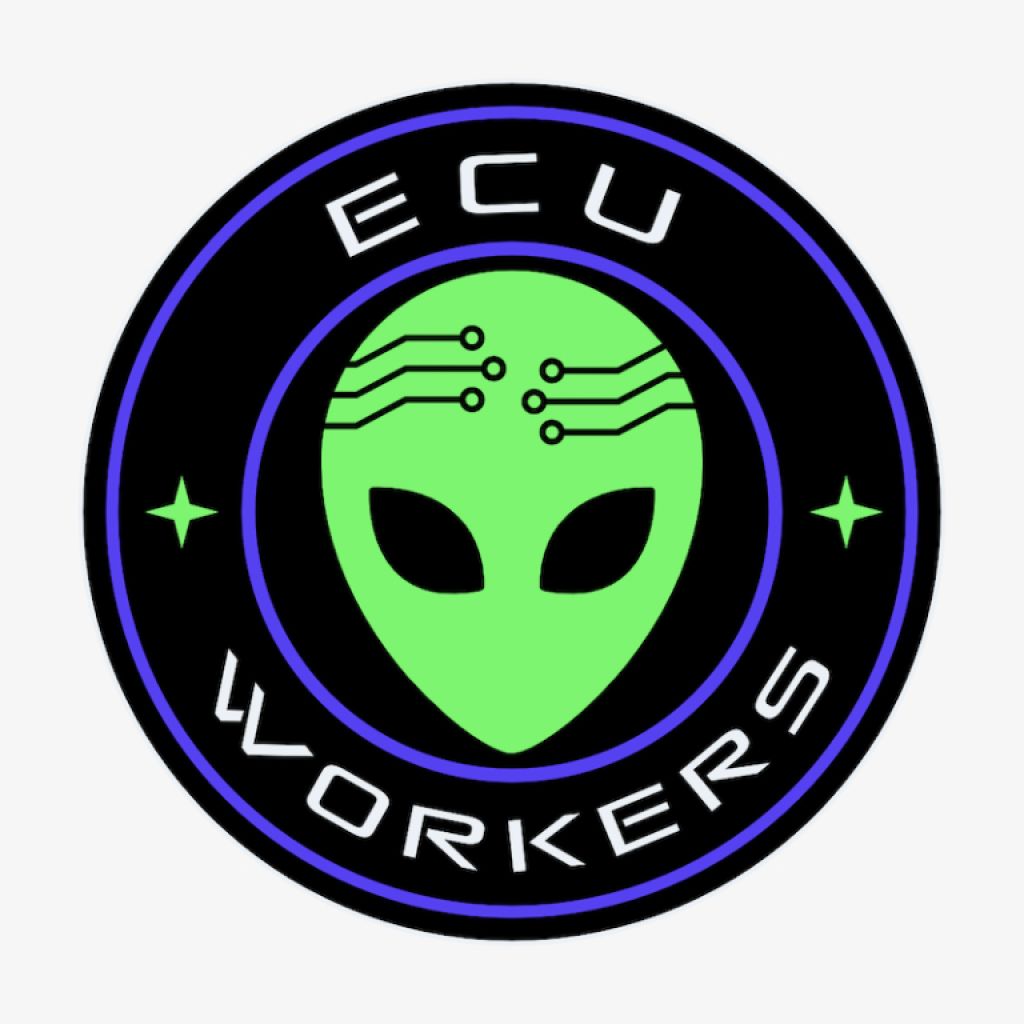 Leistungssteigerung - Mehrleistung  durch OBD Chiptuning - Verbrauchsreduzierung