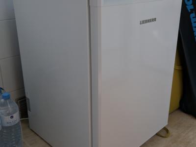 Liebherr Fe 1414-20 Gefrierschrank 107l 85 cm hoch erst 6 Monate alt