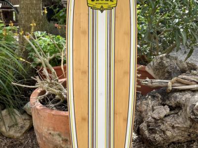 Longboard of the brand Globe (And it's really long in my opinion)