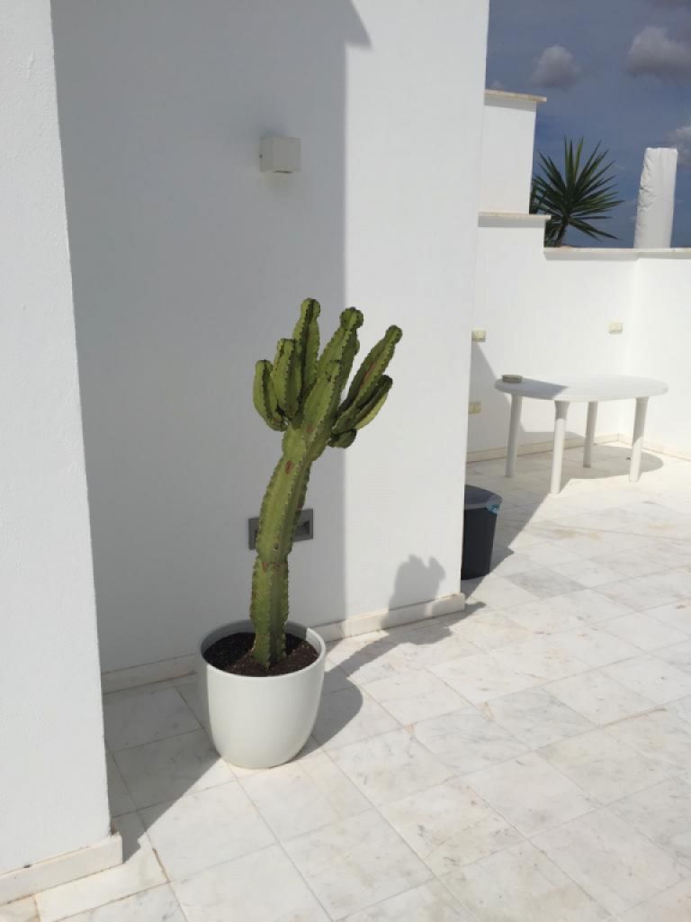 Luxus-Penthouse zum Verkauf in Porto Cristo