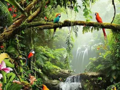 Master Painter Company