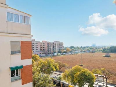 Mallorca - Exklusive Stadtwohnung mit großzügigem Raumangebot in Palma