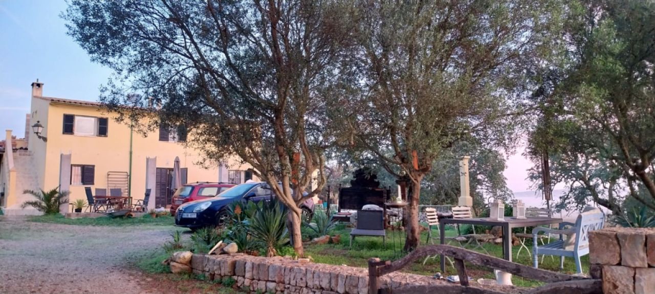 Mallorca!! Fancy escaping the winter from 7.2 to 13.2?