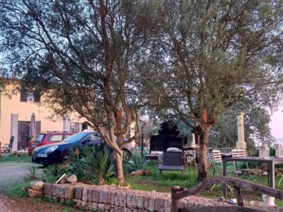 Mallorca!! Fancy escaping the winter from 7.2 to 13.2?