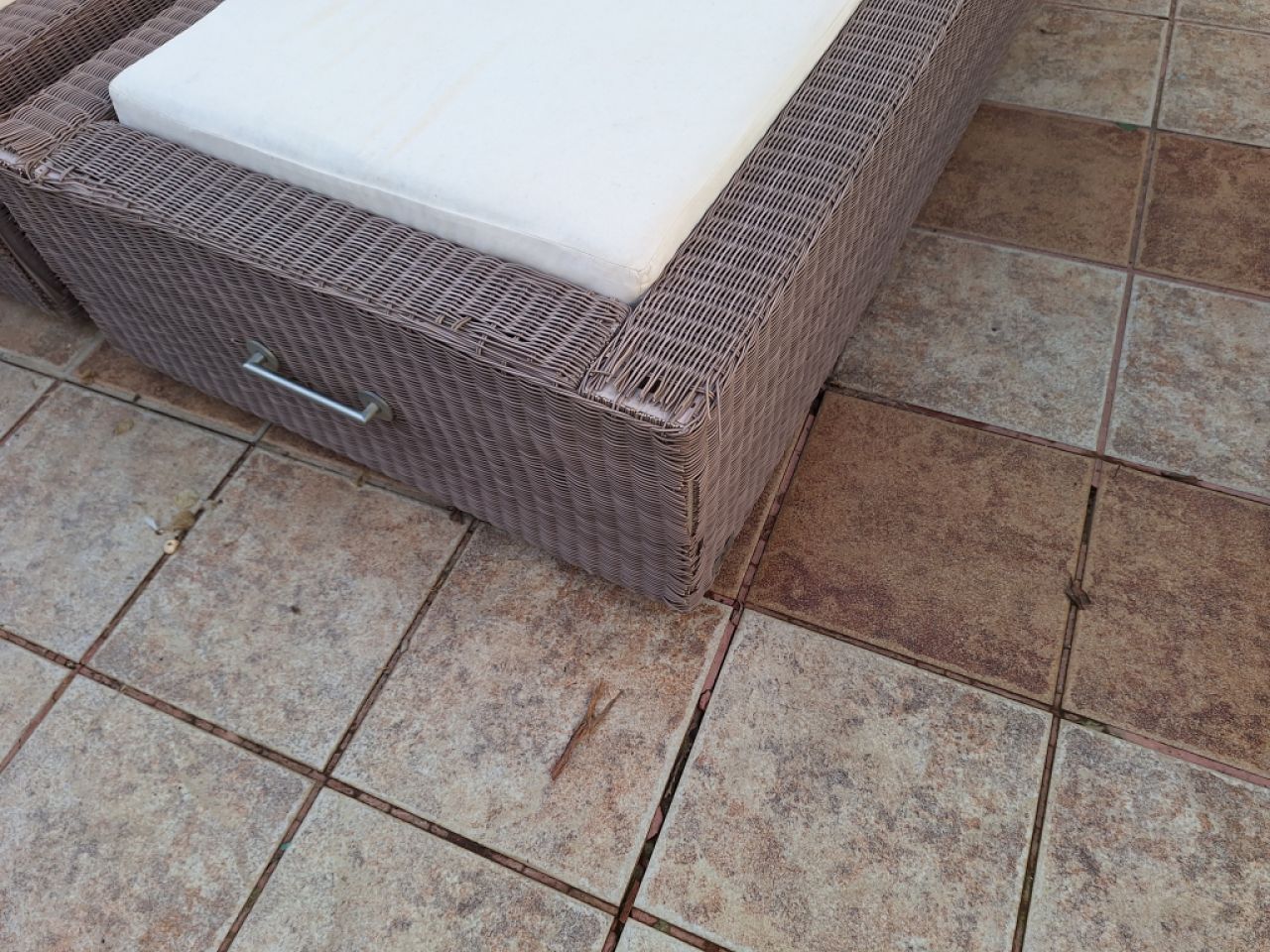 Manutti 2 Luxury Loungers