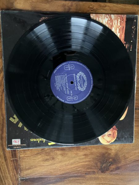 Marlene Dietrich Record