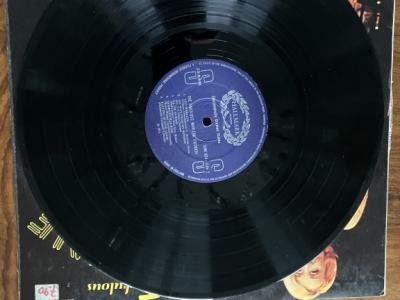 Marlene Dietrich Record