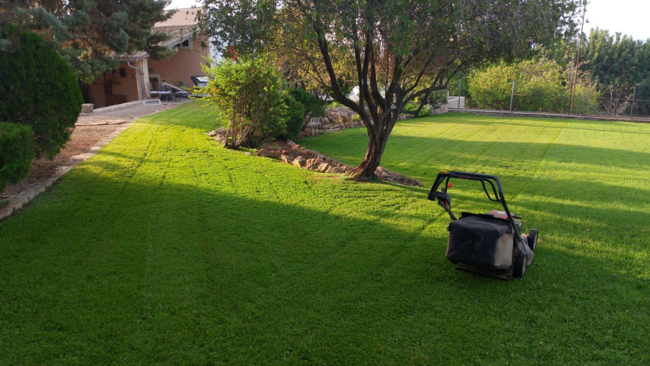 Meister des Gärtnerns