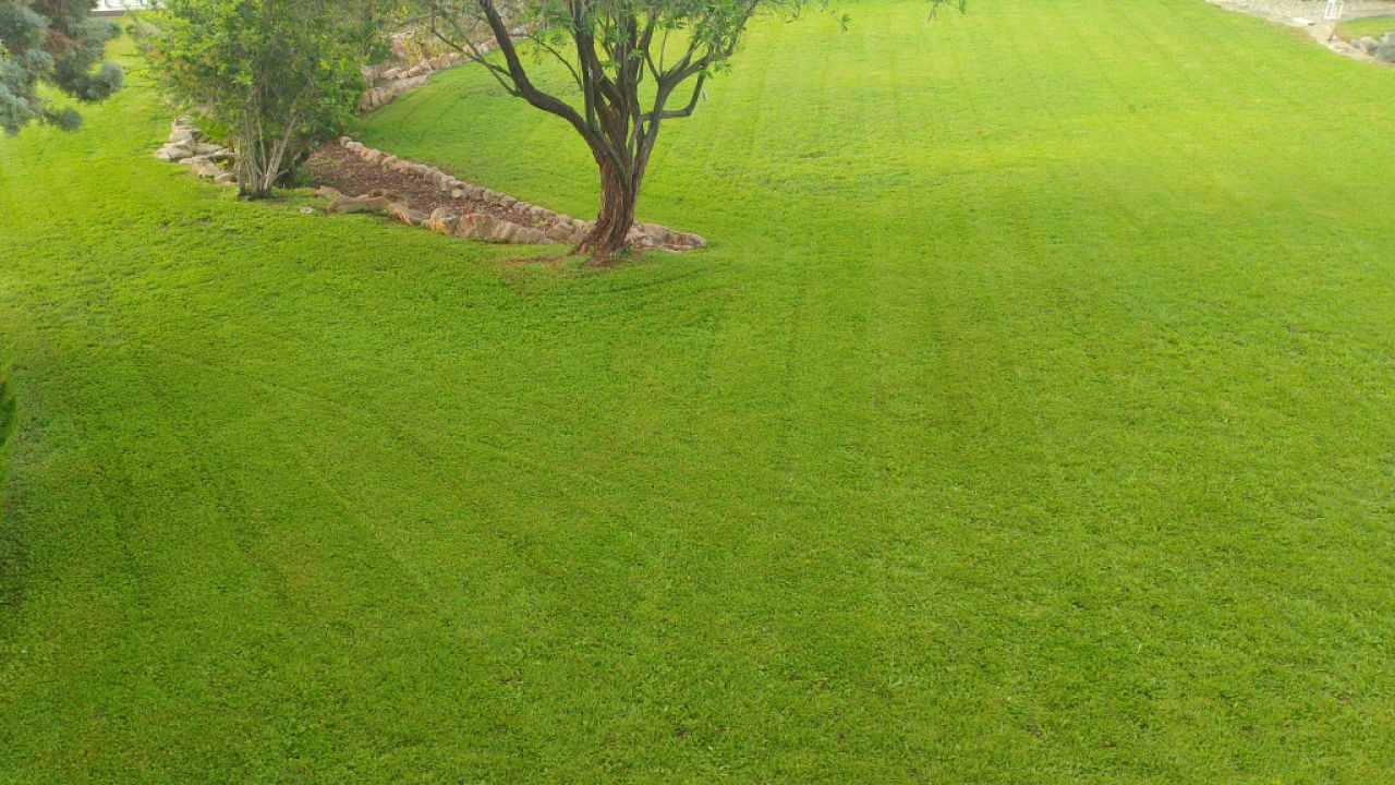 Meister des Gärtnerns