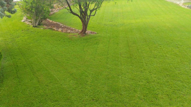 Meister des Gärtnerns