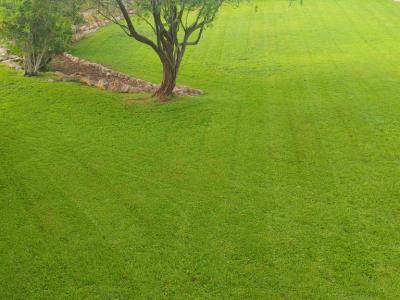 Meister des Gärtnerns