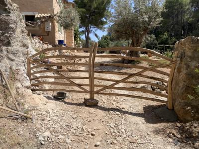 Menorquinische Türen