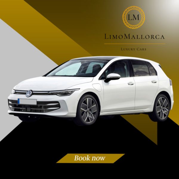 Rent your car for months