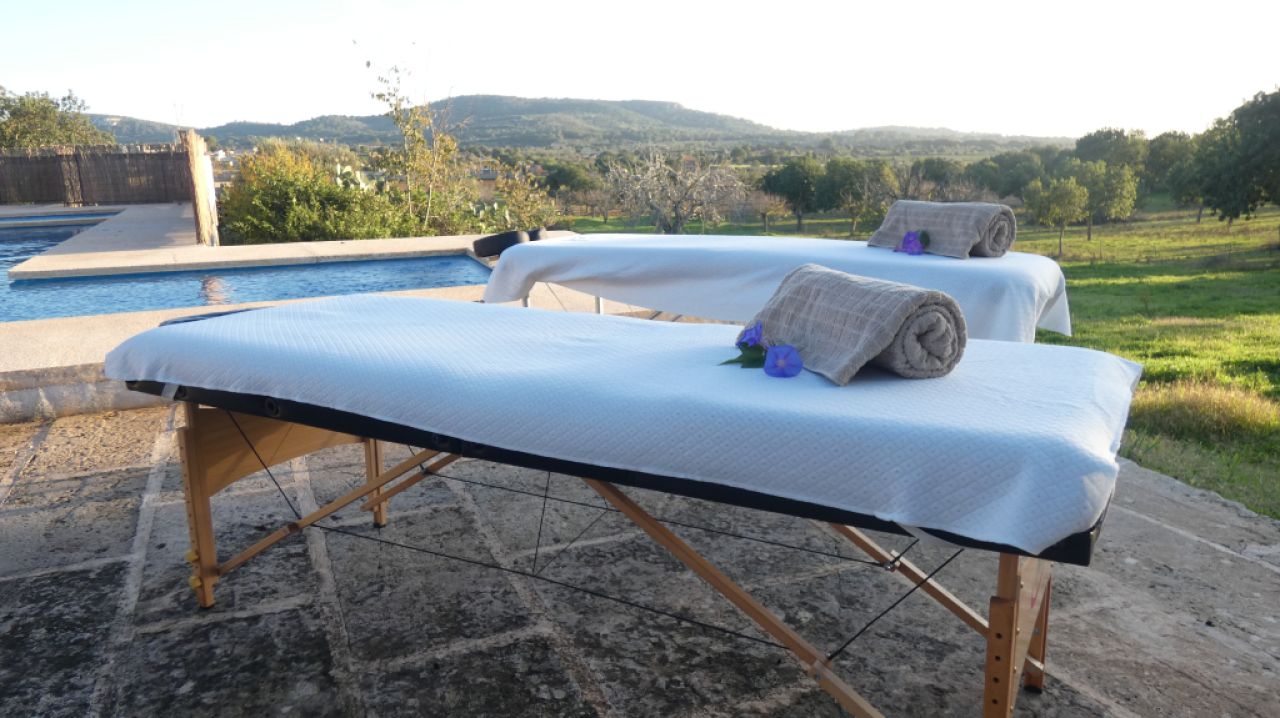 Mobile massage tables — luxury model