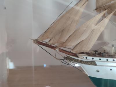 Modell Schnellsegler