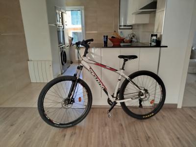 MTB 29Zoll