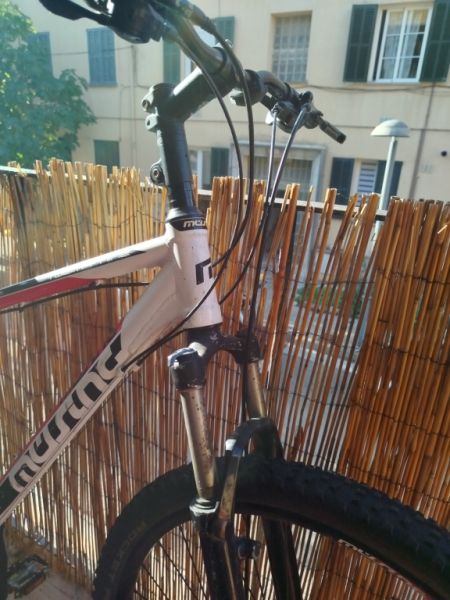 MTB 29Zoll