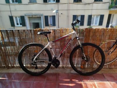 MTB 29Zoll