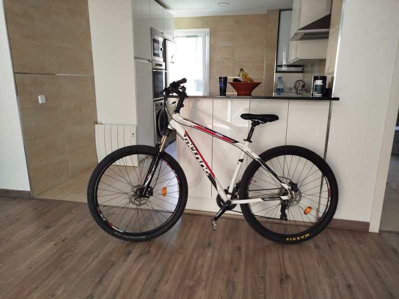 MTB 29Zoll