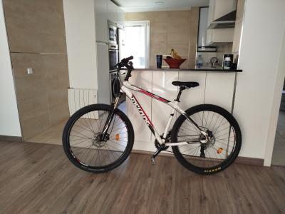 MTB 29Zoll