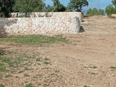 Muro de piedra natural