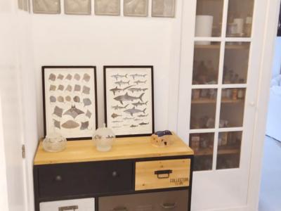 Low season: Chalet with sea views in Port de Canonge - Banyabulfar--- CH 16 WT