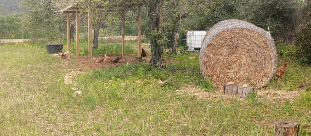 Permaculture and ecological hobby gardeners