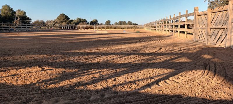 Pferdeeinstellplätze frei – Offenstall bei Algaida (15 Min. von Palma)