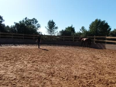 Pferdeeinstellplätze frei – Offenstall bei Algaida (15 Min. von Palma)