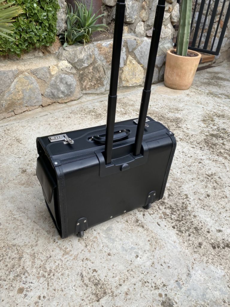 Pilotenkoffer, Handgepäck