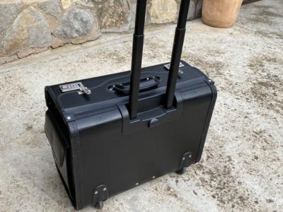 Pilotenkoffer, Handgepäck