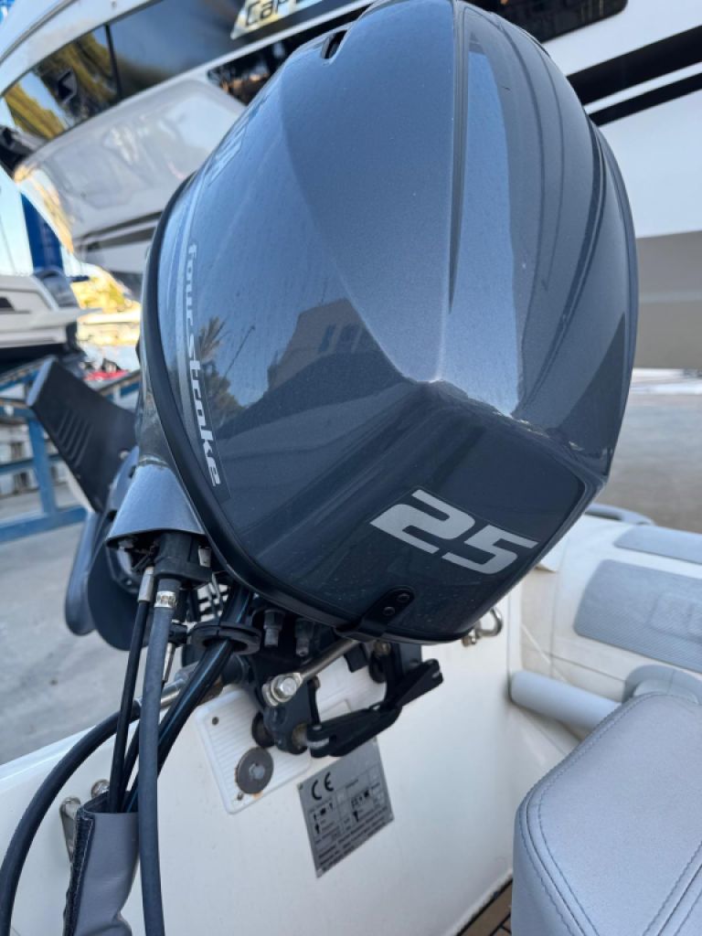 PISCHEL TENDER Ribline 3.0 with 25HP outboard