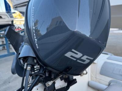 PISCHEL TENDER Ribline 3.0 with 25HP outboard