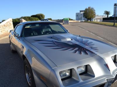 Pontiac Firebird Trans Am Targa - ! Original 10,500 miles !