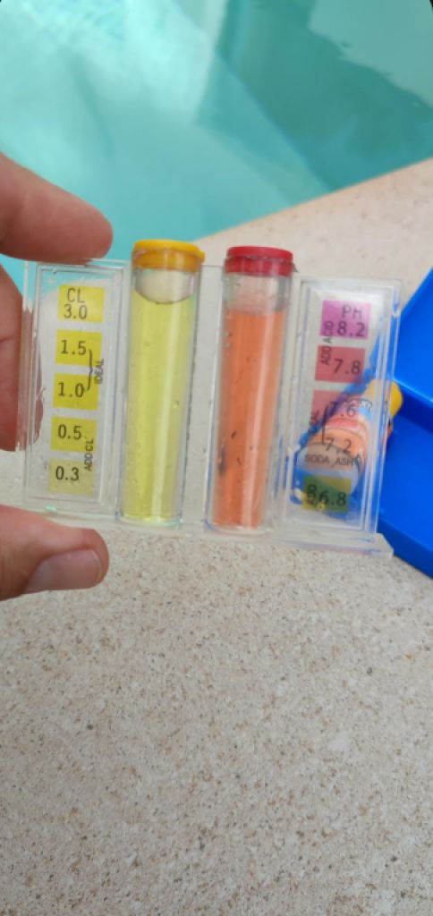 Poolman Gärtner auf der Suche nach Arbeit