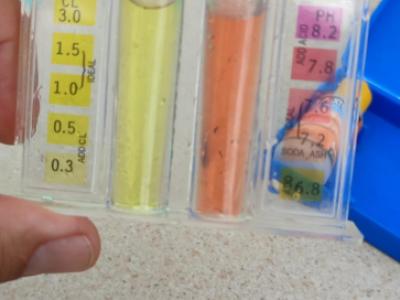 Poolman Gärtner auf der Suche nach Arbeit