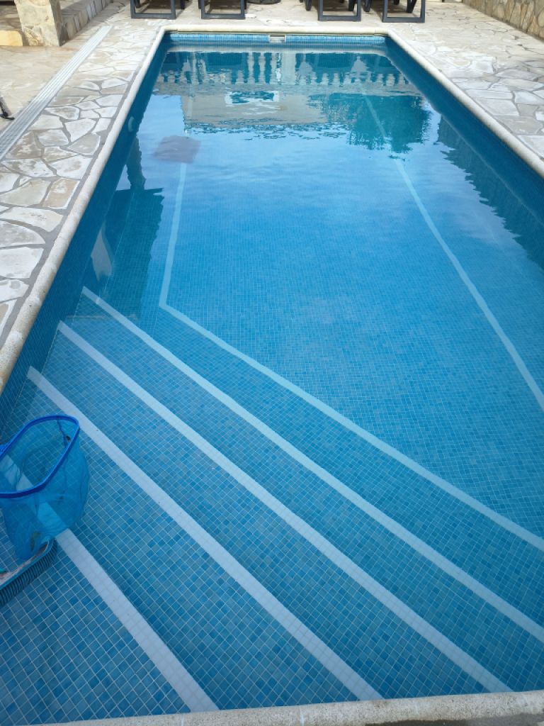 Poolreinigung